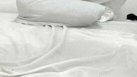 big booty creamy cat playing with toys on webcam close-up