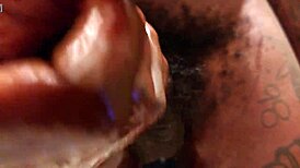 meet your favorite pornstar hallelujah johnson