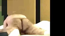 bisexual guy explores gay furry fun in casual hookup