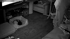 Wife Gives Intense Blowjobs And Sucking Sessions To Her Husband In Their Bedroom