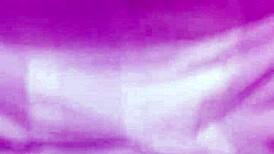 eating pussy with licks and oral