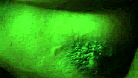 who can suck my dick better than me in gauteng, inbox for amateur blowjob masters