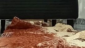 I accidentally sent masturbation fingering video to my boss 😳