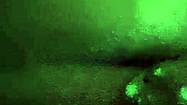 这家伙撸管他的黑人大屌