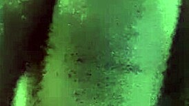 This Guy Is Jerking Off His Big Black Cock