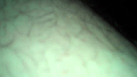 Donna Belle Bent Over Doggy Style