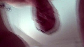 zelda casting on sofa turns rough real quick.