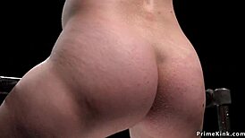 natural busty brunette endures bastinado pain