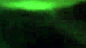 This crossdressing shemale sucks cock amazingly 😍