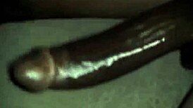 gay amateurs sucking and swallowing in compilation videos