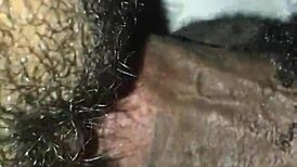 i love that tight pussy getting fucked bareback with a big cock, it's so hairy and monster sized. feels amazing!