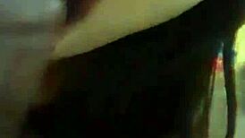 i'm giving pamela pantera a sexy blowjob, but i messed up the words