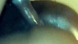 mr10curve and ocean paradise hotwife debut