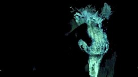 Dark Lantern Entertainment Presents Two Centuries Of Smutty London, Featuring European Antique Group Scenes With Hairy Pussy And Nasty Retro Action