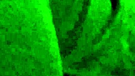 Sexy Southern Slut Sucking Cock In Cuckold Scene