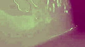 Peeing In The Hotel Sink