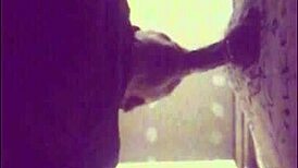 Etalon couilles pleines gros juteur se fait purger en glory hole