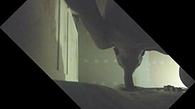 Etalon couilles pleines gros juteur se fait purger en glory hole