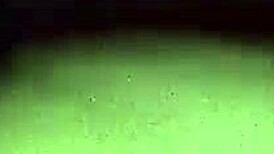 white wife cums on big black cock