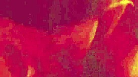 She Makes Me Cum in Her Mouth!