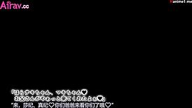 swimsuit girls in anime hentai bikini fun