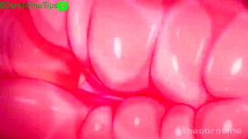 Trap Hmv Compilation Features Crossdressing Anime Characters