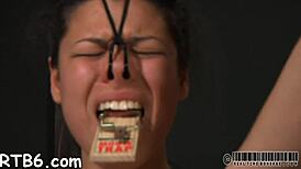 Knob T For Beautys Cum-Hole