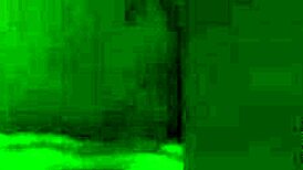 Thot Sucking My Big Black Cock!