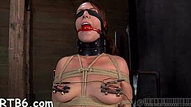 the girl strips inside the cage, then sucks his cock roughly