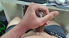 Babes deepthroat bisexuals in kinky fourway, cum on ass.