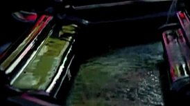 My Secret Life with Vintage Tranny Revealed