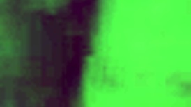 wife sucks big tits cock in blowjob action