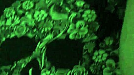 i got my submissive wife roped n mounted