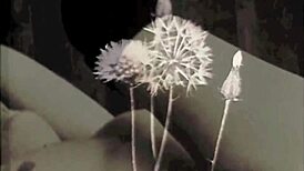 My Secret Life Has Everything Changed