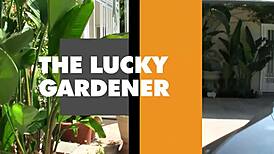 Boss sandy brings you to jenna presley's house for hardcore fucking in various positions.