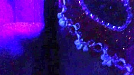 Compilation Of Redfantasies Shorts Freebie