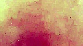 i feel so emotional with that favela boy