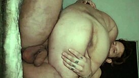 Colombian Jackal Morning Surprise 3