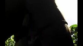 Flexible Legs Outdoor Ebony Pussy Fuck