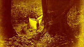 vintage erotic drawings