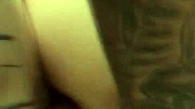 Doggy Style Fitness with Perfect Form