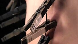 bound babe getting anal fucked with dildo