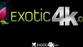 exotic aaliyah hadid's wet pussy in fishnets gets drilled