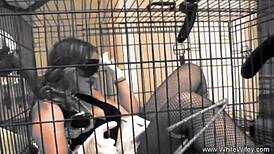 intriguing interracial couple explores intimate connections in hardcore scenes