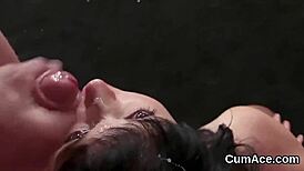 kinky bombshell sucks cum load off her face in pov