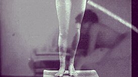 vintage victorian bisexual lifestyles explored in retro settings