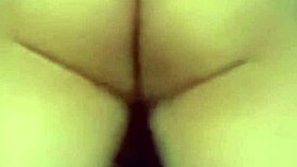 Lonely Heart Hires Latina Beauty For Valentine's Passion