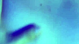 i get fucked doggystyle by client