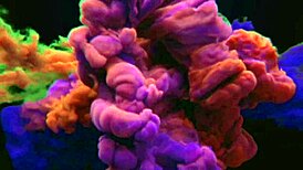 Tesão Hits on Bus to SP! Bianca Plays Her Flute Again!