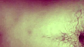 Amateurs engage in intense homemade fucking with passionate actions